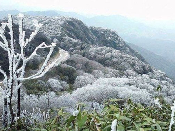 Ảnh bìa bài viết 807556