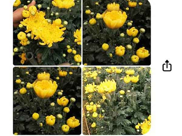 Ảnh bìa bài viết 807779