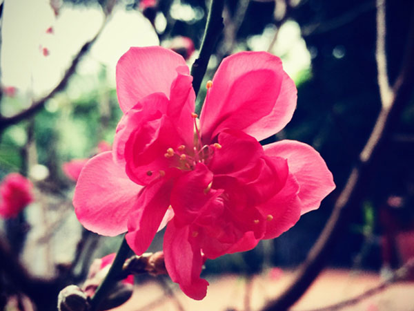 Ảnh bìa bài viết 807807