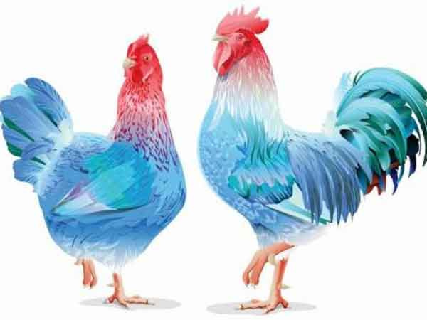 Ảnh bìa bài viết 808369