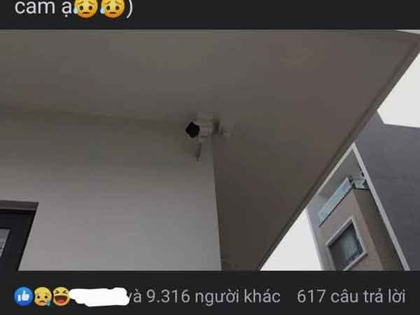 Ảnh bìa bài viết 809897