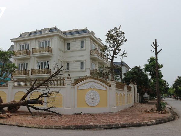Ảnh bìa bài viết 810494