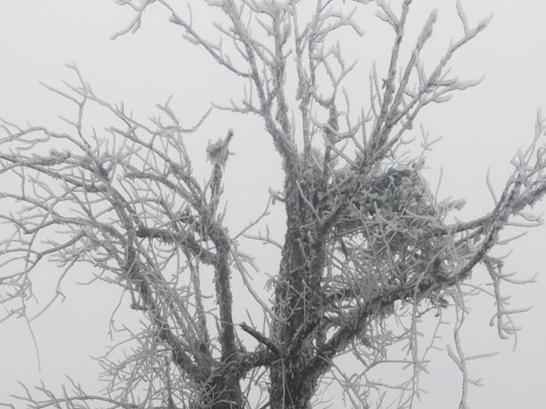 Ảnh bìa bài viết 810636