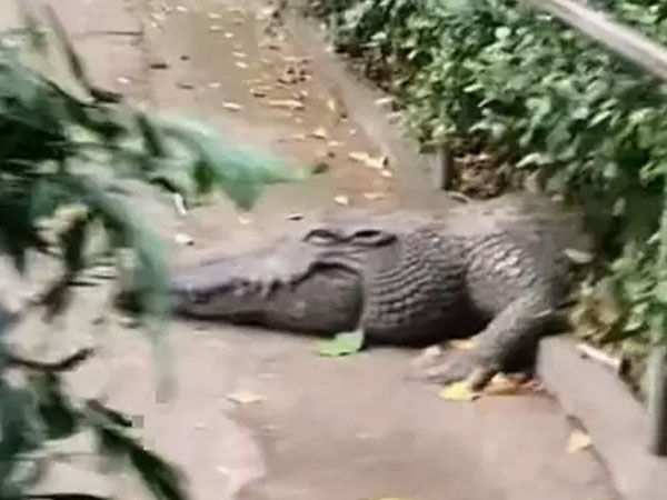 Ảnh bìa bài viết 811117