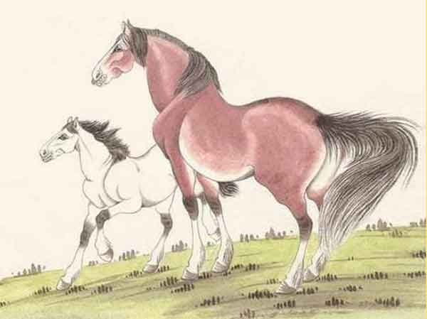 Ảnh bìa bài viết 812103