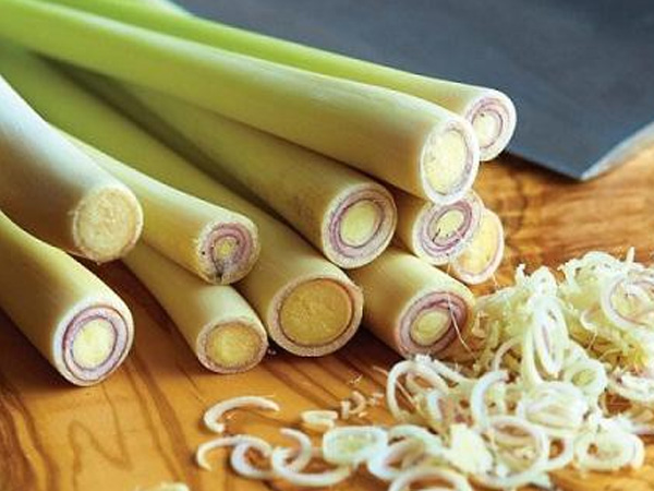 Ảnh bìa bài viết 812911