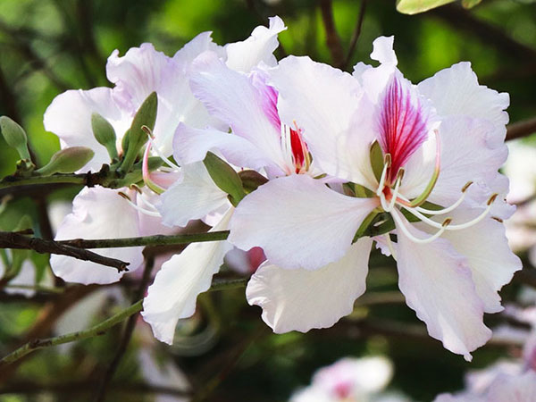 Ảnh bìa bài viết 812999