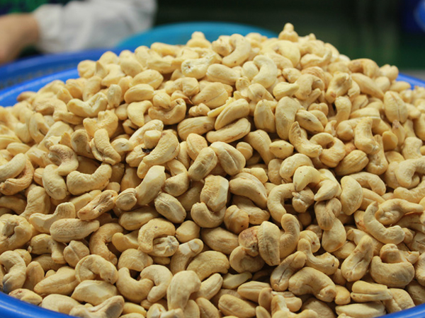 Ảnh bìa bài viết 813159