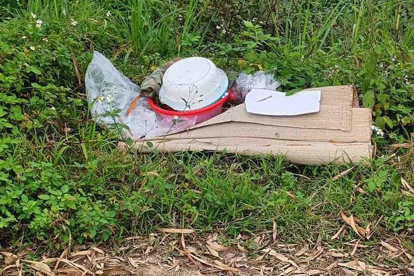 Ảnh bìa bài viết 813459