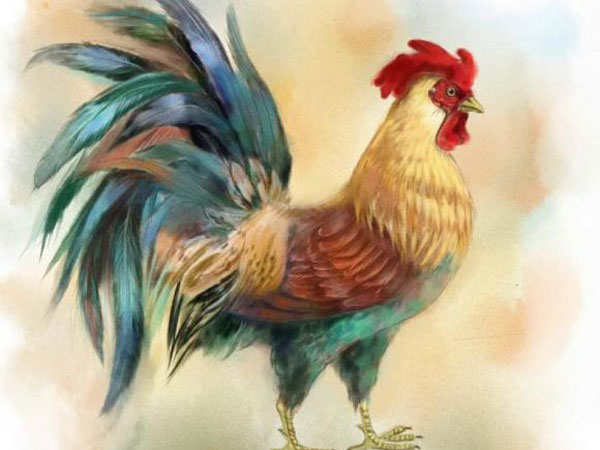 Ảnh bìa bài viết 813415