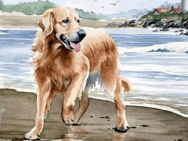 Ảnh bìa bài viết 814693