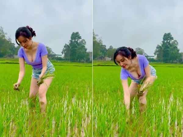 Ảnh bìa bài viết 814940