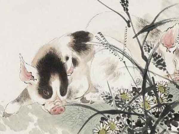 Ảnh bìa bài viết 815178
