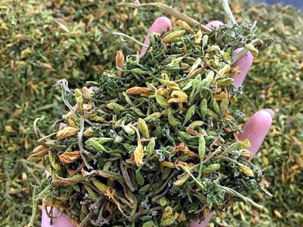Ảnh bìa bài viết 815782