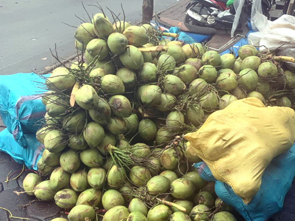 Ảnh bìa bài viết 815846
