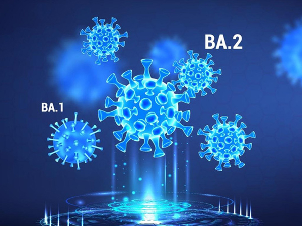 Ảnh bìa bài viết 816472