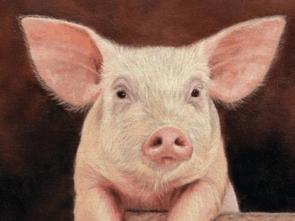 Ảnh bìa bài viết 816526