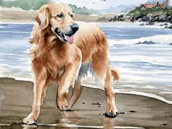 Ảnh bìa bài viết 816683