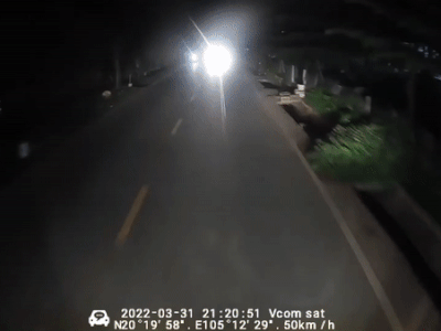Ảnh bìa bài viết 816893