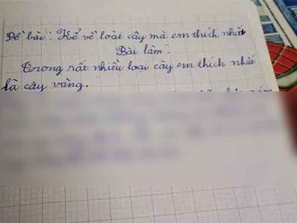 Ảnh bìa bài viết 817090