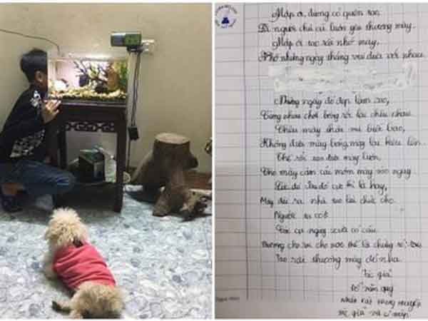 Ảnh bìa bài viết 817196