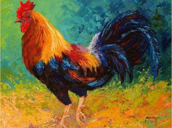 Ảnh bìa bài viết 817204