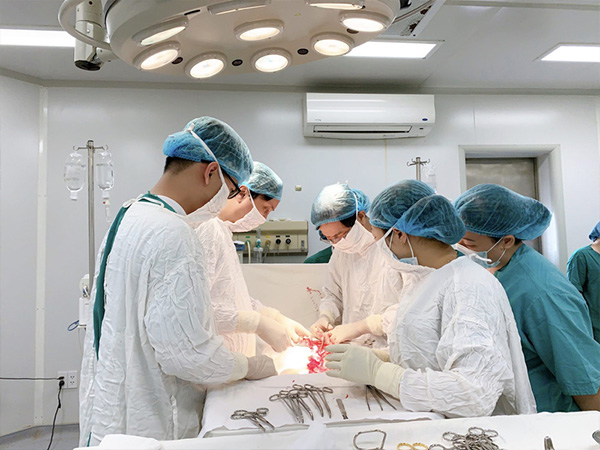 Ảnh bìa bài viết 817227