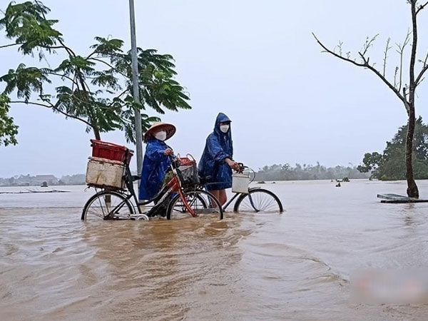 Ảnh bìa bài viết 817138