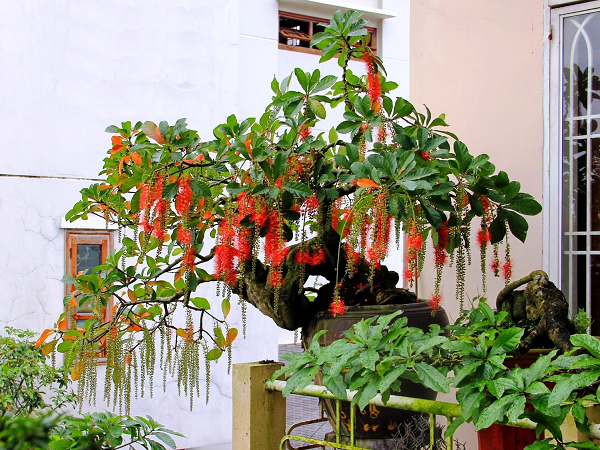 Ảnh bìa bài viết 818026