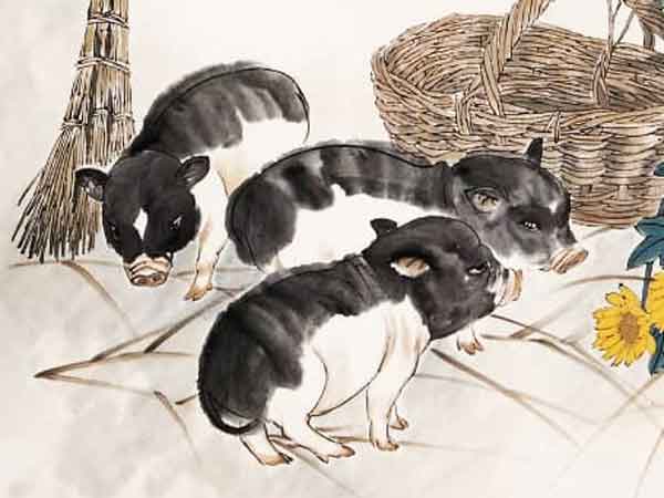 Ảnh bìa bài viết 819106