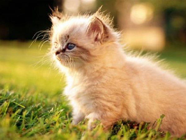 Ảnh bìa bài viết 822399