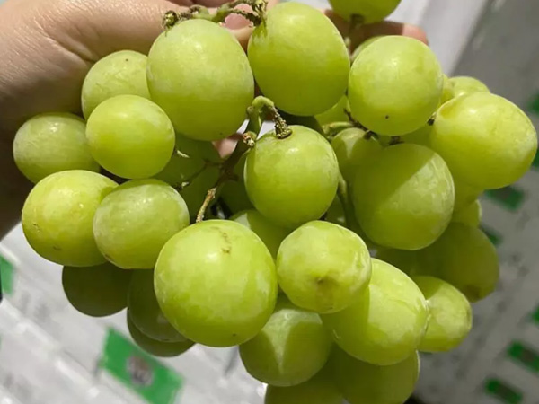Ảnh bìa bài viết 822610