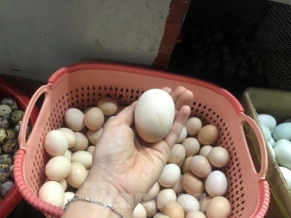 Ảnh bìa bài viết 824143