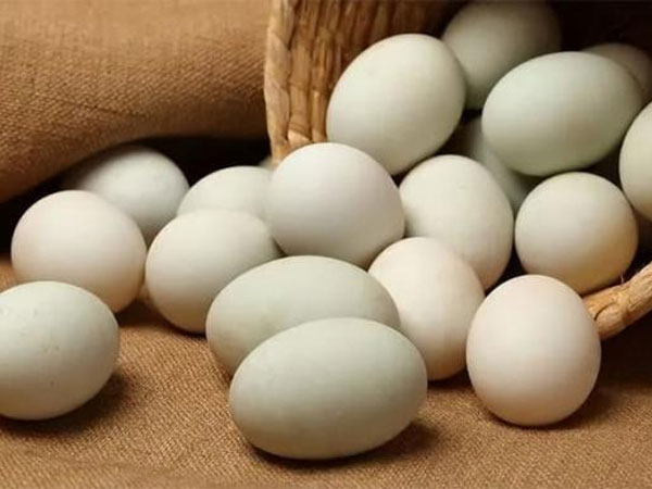 Ảnh bìa bài viết 824245