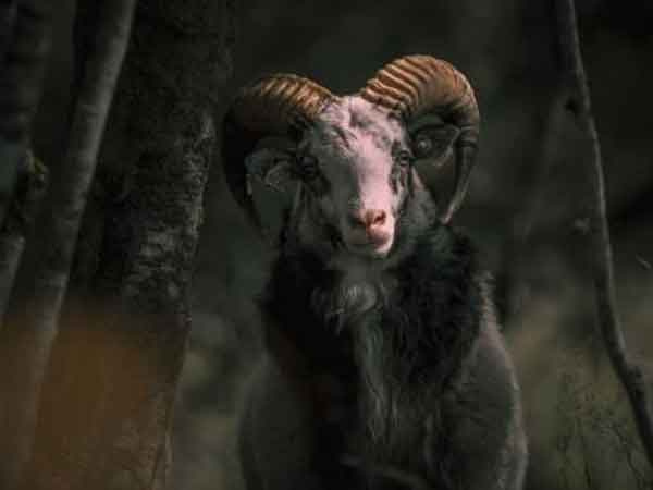 Ảnh bìa bài viết 824345