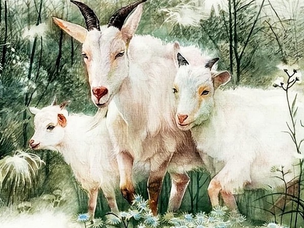 Ảnh bìa bài viết 824347