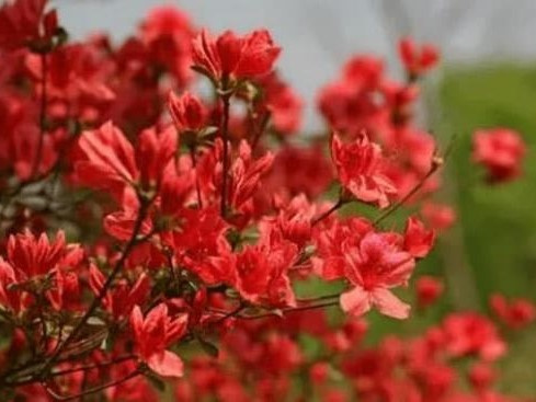 Ảnh bìa bài viết 824658