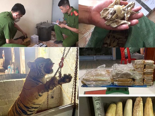 Ảnh bìa bài viết 825282
