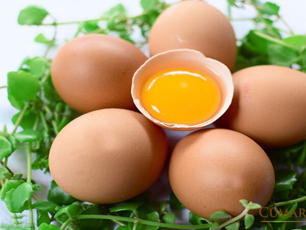 Ảnh bìa bài viết 826267