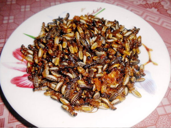 Ảnh bìa bài viết 826578