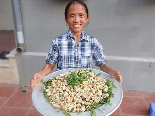 Ảnh bìa bài viết 827396