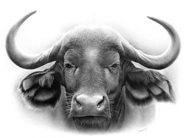 Ảnh bìa bài viết 827876