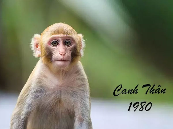 Ảnh bìa bài viết 830275