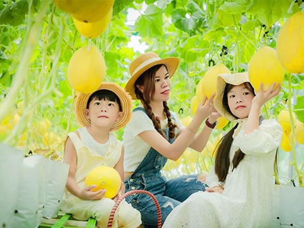 Ảnh bìa bài viết 830714