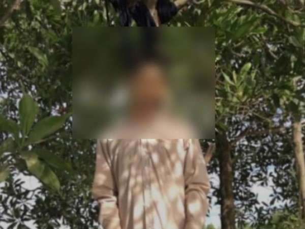 Ảnh bìa bài viết 831049