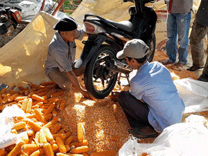 Ảnh bìa bài viết 831383