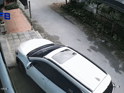 Ảnh bìa bài viết 831802