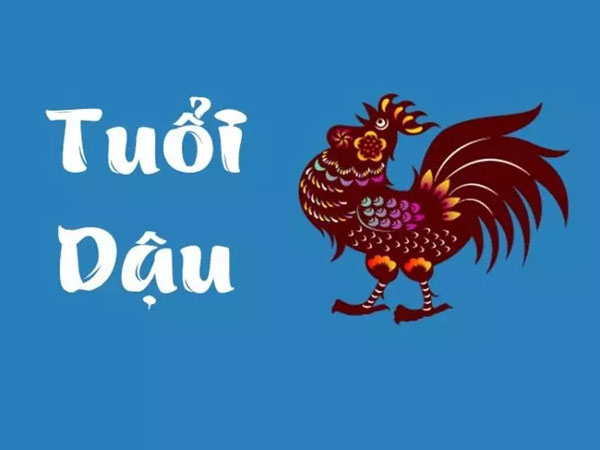 Ảnh bìa bài viết 832538