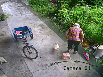 Ảnh bìa bài viết 832708