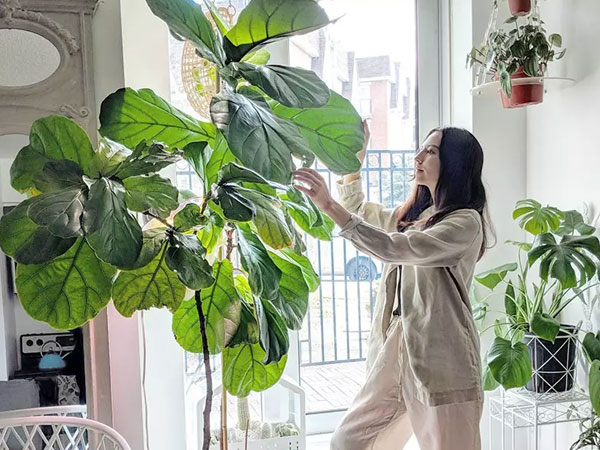 Ảnh bìa bài viết 832681